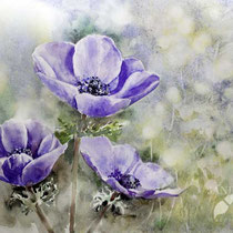 Anemones II 2023 (O3) 30x40cm / Watercolour by ©janinaB.