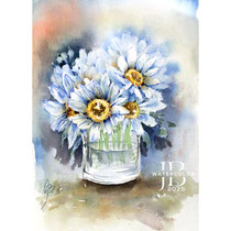 Daisies I 2025 (2) / Watercolour by ©janinaB.