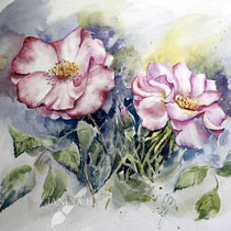 Roses II 2023 (T1) 30x40cm / Watercolour by ©janinaB.