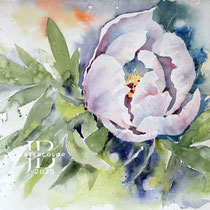 Peonie-I-2025-(4) / Watercolour by ©janinaB.