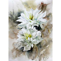 Clematis II 2023 (O3) 20x30cm / Watercolour by ©janinaB.