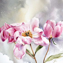 Peonies II 2023 (T1) 30x40cm / Watercolour by ©janinaB.