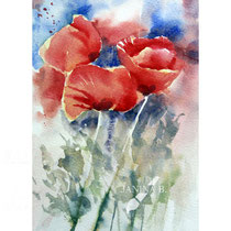Poppies I 2023 (O3) 16x23cm / Watercolour by ©janinaB.
