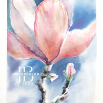 Magnolia-I-2025-(4) / Watercolour by ©janinaB.