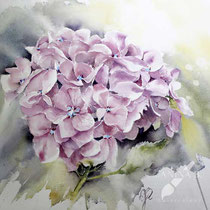 Hydrangea I 2023 (T1) 30x40cm / Watercolour by ©janinaB.