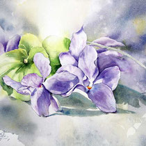 Sweet violet I 2023 (T1) 30x40cm / Watercolour by ©janinaB.