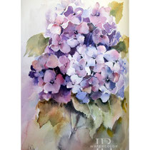 Hydrangea IV 2025 (AB2) 20x30cm / Watercolour by ©janinaB.