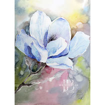 Magnolia-II-2025-(4) / Watercolour by ©janinaB.