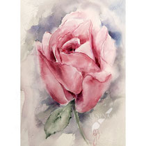 Rose II 2023 (O3) 20x30cm / Watercolour by ©janinaB.