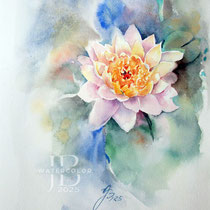 water lily I 2025 (2) 20x30 / Watercolour by ©janinaB.