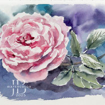 Rose II 2025 (2) / Watercolour by ©janinaB.