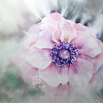 Anemone I 2023 30x40cm / Watercolour by ©janinaB.
