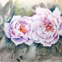 Roses II 2025 (AB2)20x30cm / Watercolour by ©janinaB.