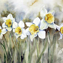 Daffodils IV 2023 (T1) 30x40cm / Watercolour by ©janinaB.