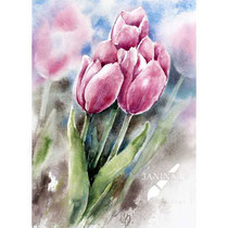 Tulips II 2023 (O3) 20x30cm / Watercolour by ©janinaB.