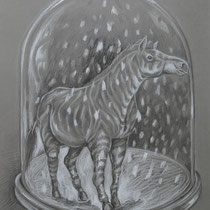 Quagga, Stift auf Papier, 40 x 30cm