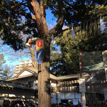 調神社の正面