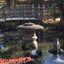 調神社の池