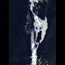 Rodolphe Proverbio Esthétique de l'eau 2010/2016 49