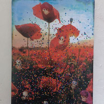 Poppies 2 30x40