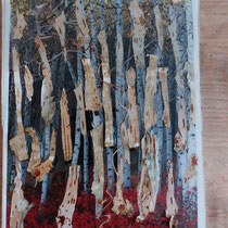 Bos 1 20x30