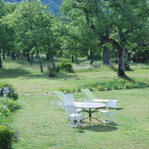 View on the parc facing the Luberon