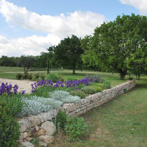 The Claparedes en Provence in spring