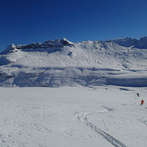 Les grands espaces du Désert de Platé...