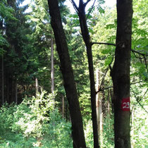 Der Waldmythenweg in Waldbröl