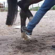 Mit dem Target kann man das Bein in die richtige Position formen