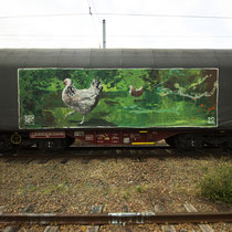 Résilience et Voyage // Une poule qui va voyager quelques milliers de kilomètres. . Animal symbole de la résilience et de l’autonomie. ☘️🐓 ! Désobéissez . Retour aux fondamentaux 