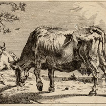 Sehr Altes Olbild Kuhe Schafe Bauer Paulus Potter Eur