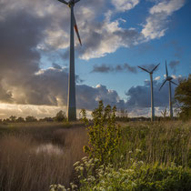 Windkrafträder in Jade-Windpark Wilhelmshaven