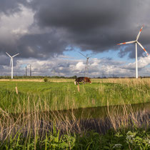 Windkrafträder in Jade-Windpark Wilhelmshaven