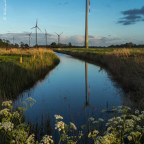 Windkrafträder in Jade-Windpark Wilhelmshaven