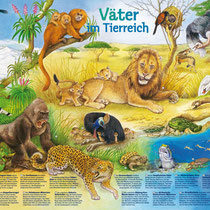 medizini-Wissensposter "Väter im Tierreich"