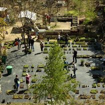 Prinzessinengarten Kreuzberg