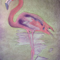 Flamand rose, 80x120