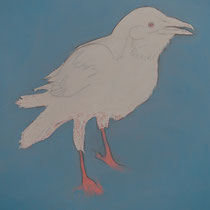 Corbeau Blanc, 42x47