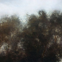 Arbres dans le vent - acrylique sur bois - 40x61 cm - 2009 - M - Pavlïn