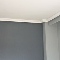 Pintura plastica