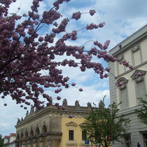 Frühling in der Lindenstraße