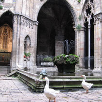 Catedral Barcelona