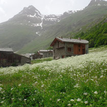 Bonneval sur Arc - Architecture de montagne