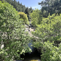Am Oberlauf des Chalaris