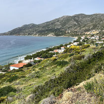 Fanari
