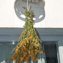 Sifnos