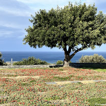 Mit Blick übers Meer