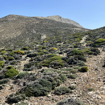 Kasos Trail