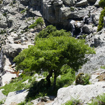 Suchbild mit Wasserfällen